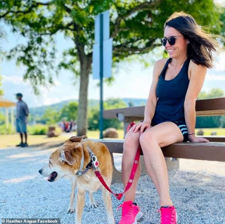 Illustration de l'article : Un chien égaré parcourt 6 km dans les rues animées de Manhattan et trouve refuge avec des chats sauvages