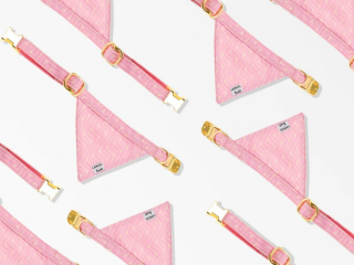 Illustration de l'article : French Bandit x Lancel : une collaboration haute couture pour des accessoires tendance destinés aux chiens et chats