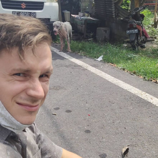 Illustration de l'article : 20 photos racontant la métamorphose d'un chien errant malade et déprimé à qui on a finalement tendu la main