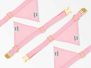 Illustration de l'article : Célébrez le retour des beaux jours avec votre chien grâce à cette sélection de must have aux accents printaniers