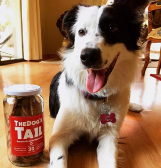 Illustration de l'article : 14 photos de chiens vous offrant leurs plus beaux sourires pour booster votre bonne humeur