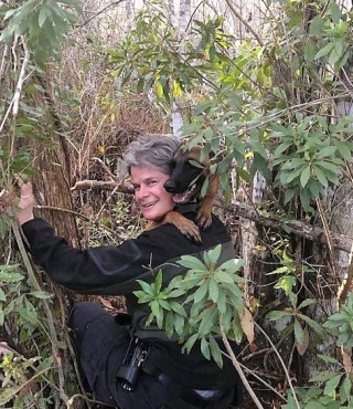 Illustration de l'article : L'intervention héroïque qui a permis de secourir un jeune Berger Belge Malinois piégé parmi les alligators