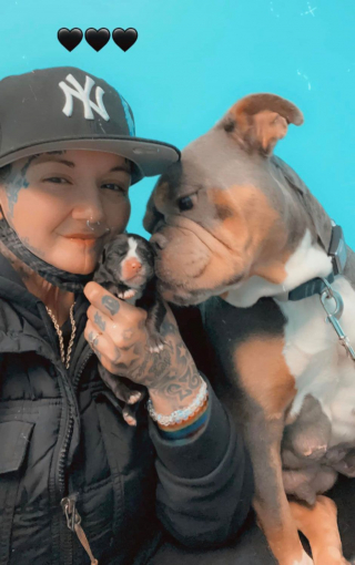 Illustration de l'article : Après avoir vaincu le cancer, elle retrouve son bulldog anglais perdu depuis des années...et découvre un petit miracle