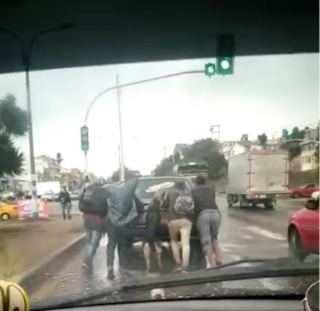 Illustration de l'article : Un Berger Allemand séduit le cœur des internautes, en montrant toute l’affection et la sollicitude qu’il éprouve envers son maître (vidéo)