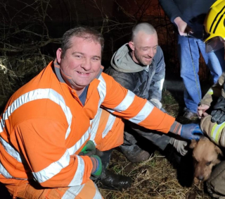 Illustration de l'article : Un chien retrouvé sain et sauf après une opération de secours spectaculaire