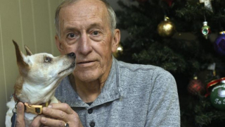 Illustration de l'article : Une chienne aveugle trouve de l'aide pour sauver la vie de son maître après un malaise cardiaque