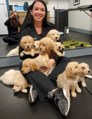 Illustration de l'article : 19 photos de surprenantes et belles rencontres canines faites chez le vétérinaire