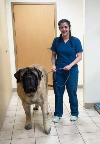 Illustration de l'article : 19 photos de surprenantes et belles rencontres canines faites chez le vétérinaire