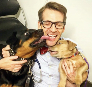 Illustration de l'article : 19 photos de surprenantes et belles rencontres canines faites chez le vétérinaire