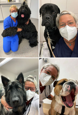 Illustration de l'article : 19 photos de surprenantes et belles rencontres canines faites chez le vétérinaire