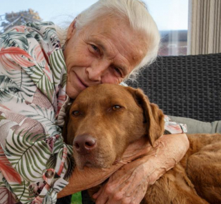 Illustration de l'article : Une retraitée de 79 ans décide d’utiliser toutes ses économies pour sauver son chien atteint d’une maladie grave