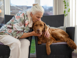 Illustration de l'article : Une retraitée de 79 ans décide d’utiliser toutes ses économies pour sauver son chien atteint d’une maladie grave