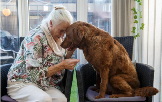 Illustration de l'article : Une retraitée de 79 ans décide d’utiliser toutes ses économies pour sauver son chien atteint d’une maladie grave