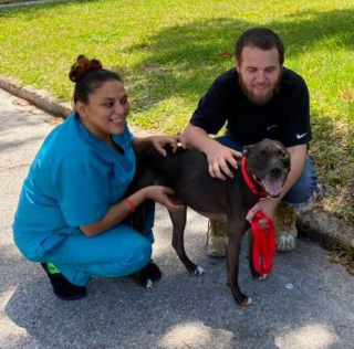 Illustration de l'article : Le combat d'un jeune homme pour sauver et retrouver sa chienne malade, Dakota