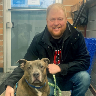 Illustration de l'article : Un chien de race Pitbull dévasté par l'incendie de sa maison attend depuis 5 ans son adoption dans un refuge