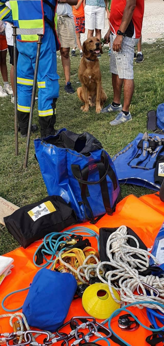 Illustration de l'article : Le sauvetage délicat d'un chien ayant fait une chute de neuf mètres après être tombé d'une falaise