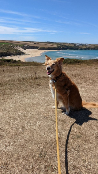 Illustration de l'article : C’est grâce à la présence de son chien bien-aimé que cette femme parvient à surmonter le deuil causé par la mort de son père