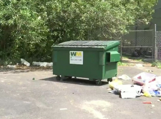 Illustration de l'article : Sheba, 16 ans, retrouve l'espoir grâce au courage d'un homme qui l'a sauvée de la benne à ordures