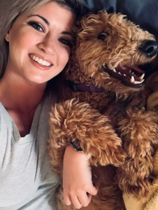 Illustration de l'article : Une visite chez le toiletteur transforme un chien en adorable alpaga miniature