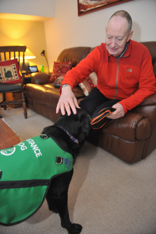 Illustration de l'article : Un Labrador dévoué aide son maître atteint de démence à profiter de la vie