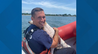 Illustration de l'article : Un groupe de baigneurs et les pompiers s'allient pour sauver une jeune Caniche en détresse dans l'océan