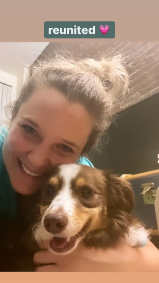 Illustration de l'article : Le courageux retour à la vie de Stella, une petite chienne coincée sans eau ni nourriture pendant quatre jours