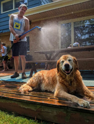 Illustration de l'article : 13 photos pleines d'amour et d'humour de chiens profitant des plaisirs estivaux