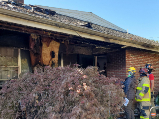 Illustration de l'article : Les aboiements héroïques d'un chien permettent de sauver deux personnes et trois animaux de compagnie d'une maison en flammes