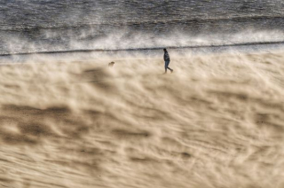 Illustration de l'article : Avertissement aux propriétaires de chiens : évitez de promener vos animaux sur le front de mer par temps venteux