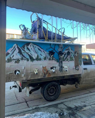 Illustration de l'article : 20 moments drôles et touchants de chiens qui illuminent notre quotidien