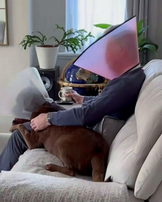 Illustration de l'article : 20 moments drôles et touchants de chiens qui illuminent notre quotidien