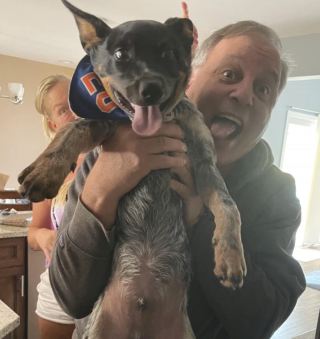 Illustration de l'article : 9 photos de chiens ayant conquis le cœur des papas les plus récalcitrants