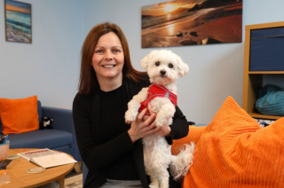 Illustration de l'article : Dans une école, un chien de thérapie se charge d’améliorer le bien-être des élèves 