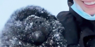 Illustration de l'article : Une véritable course contre la montre pour sauver quatre adorables chiots d’une décharge enneigée