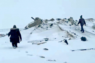 Illustration de l'article : Une véritable course contre la montre pour sauver quatre adorables chiots d’une décharge enneigée