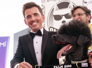Illustration de l'article : Palm Dog by Dogamí 2023 : qui succédera à Brit le Caniche pour la Palme d'Or des animaux au Festival de Cannes ?