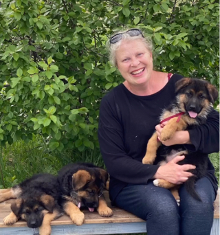 Illustration de l'article : Découvrez la complicité touchante de ce Berger Allemand avec un bébé, dans un moment plein de tendresse (vidéo)