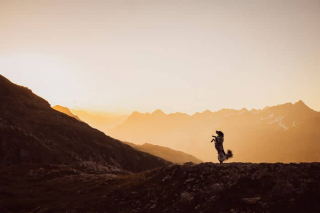 Illustration de l'article : 20 photos d'un duo de chiens découvrant la beauté du monde grâce à leur maîtresse photographe