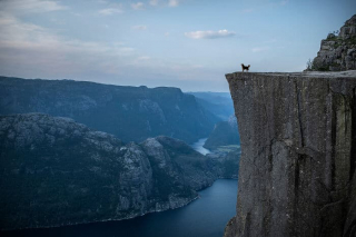 Illustration de l'article : 20 photos d'un duo de chiens découvrant la beauté du monde grâce à leur maîtresse photographe
