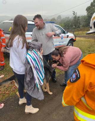 Illustration de l'article : La maîtresse d'un chien coincé sous terre vole à son secours malgré son handicap