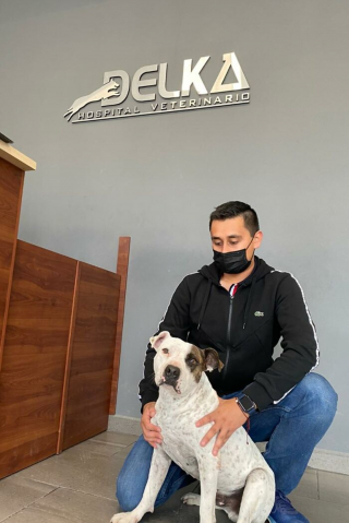 Illustration de l'article : De la détresse à l'amour : le sauvetage émouvant d'un chien négligé et abandonné au bord d'une rivière