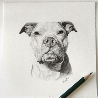 Illustration de l'article : 20 magnifiques portraits de chiens plus vrais que nature r&eacute;alis&eacute;s par une artiste hors du commun