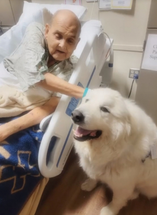 Illustration de l'article : Yeti le chien de Montagne des Pyrénées apporte du réconfort à des patients dans des services de soins palliatifs (vidéo)
