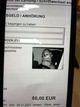 Illustration de l'article : Un chien écope d'une contravention pour excès de vitesse au plus grand étonnement de son maître