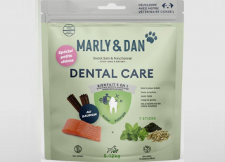 Illustration de l'article : Quelles sont les solutions pour aider votre chien à avoir une haleine fraîche et des dents saines ?
