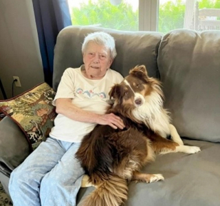 Illustration de l'article : Après avoir été sauvé de la rue, Beau le Border Collie, rend la pareille à sa maîtresse, en portant secours à sa mère