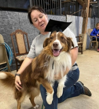 Illustration de l'article : Après avoir été sauvé de la rue, Beau le Border Collie, rend la pareille à sa maîtresse, en portant secours à sa mère