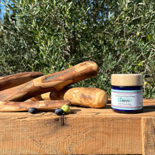 Illustration de l'article : Le guide de Noël 2023 pour trouver des idées cadeaux originales et choyer vos animaux de compagnie