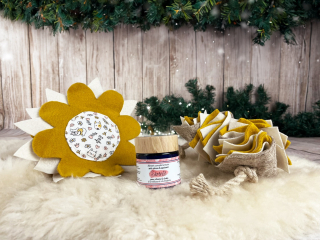 Illustration de l'article : Le guide de Noël 2023 pour trouver des idées cadeaux originales et choyer vos animaux de compagnie