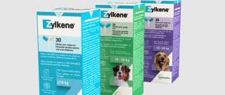 Illustration de l'article : Le guide de Noël 2023 pour trouver des idées cadeaux originales et choyer vos animaux de compagnie